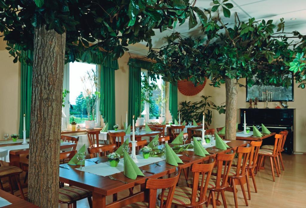 Litfasschen Hotel Mucke Oda fotoğraf